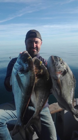 Algarve Snappers.jpg Algarve Snappers.jpg